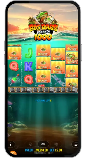 Free spins bonus round Big Bass Bonanza 1000