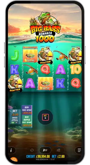 Scatter symbols landing Big Bass Bonanza 1000