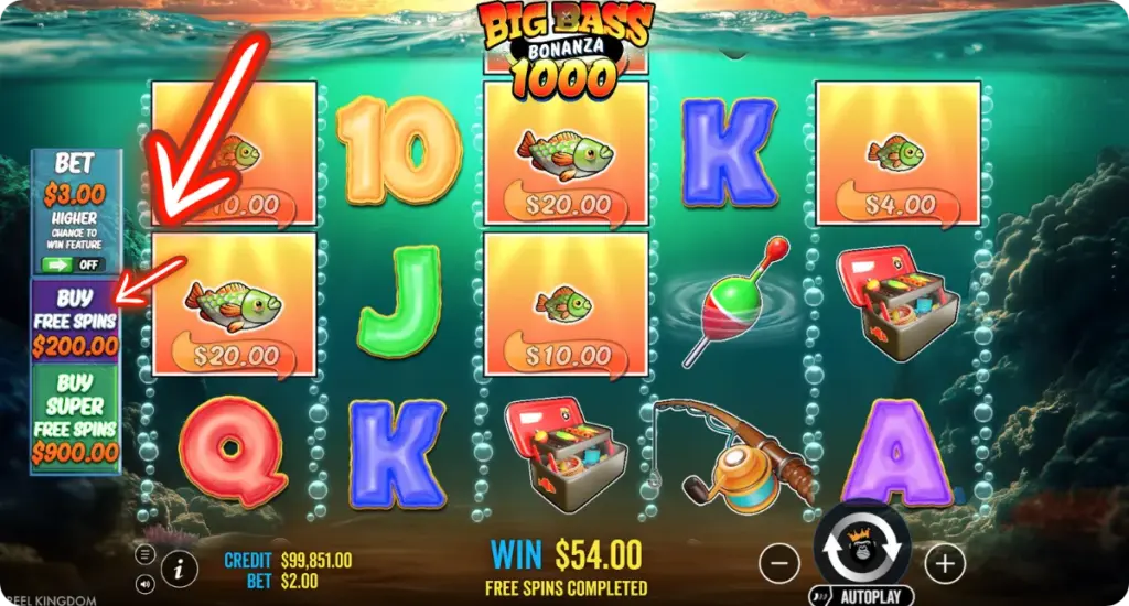 Buy Free Spins Big Bass Bonanza 1000