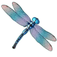 Dragonfly symbol